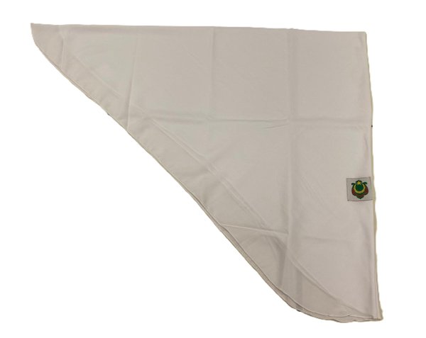 Madrasah Al-Maarif Al-Islamiah - SCARF (PRIMARY)